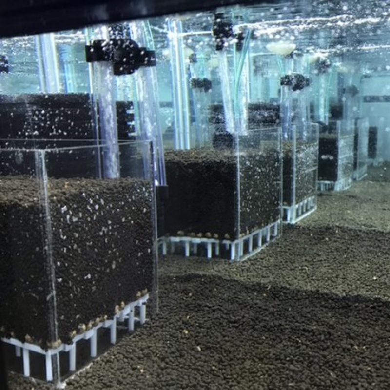 Прозрачная акриловая система ф – обзор и цена Marine Aquarium Overflow Box